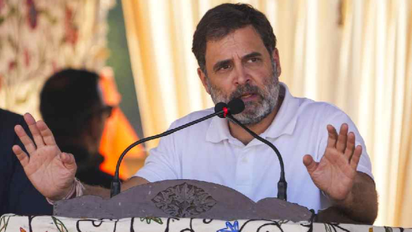 jammu and kashmir assembly election 2024 rahul gandhi 2024 jammu and kashmir assembly election 2024 rahul gandhi 2024