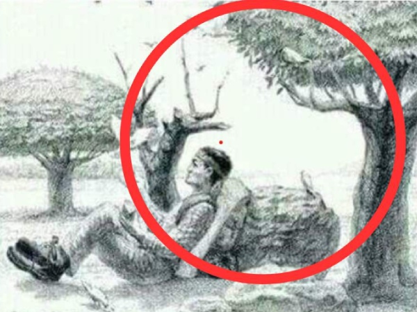 optical illusion offbeat trend