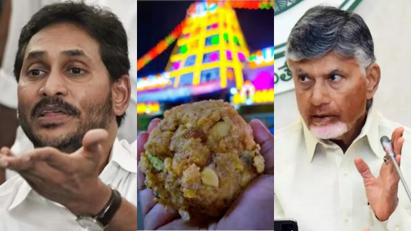 jagan mohan reddy tirupati laddu andhra pradesh
