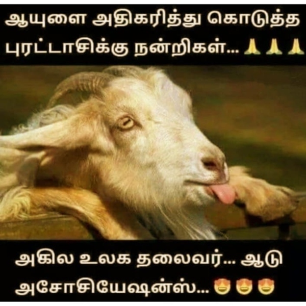 purattasi sunday memes