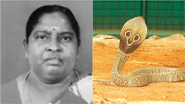 Do you know what happened to the owner of the cat that bit the head of the snake in Coimbatore