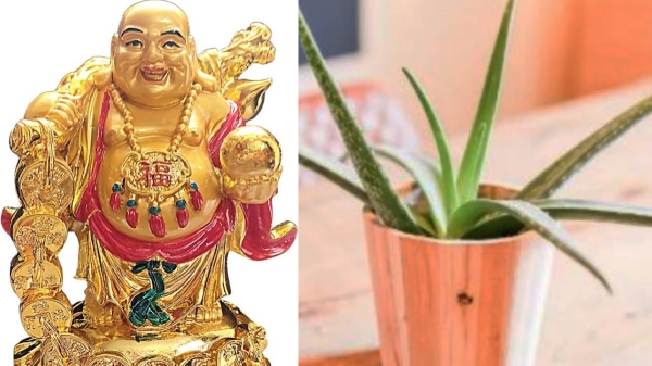 gift vastu tips spirituality