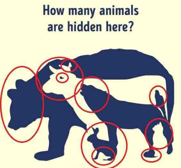 optical illusion offbeat trend