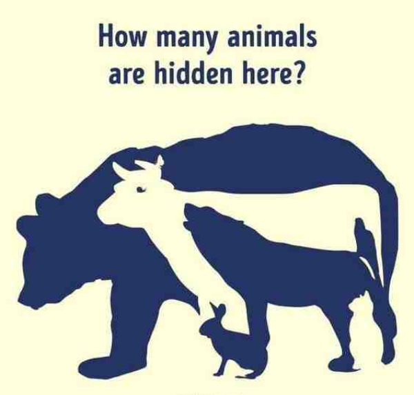 optical illusion offbeat trend