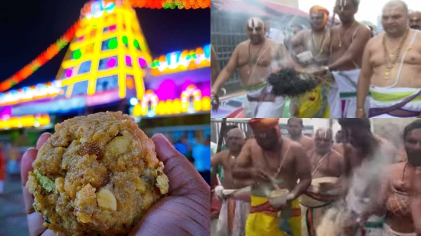 tirupati laddu andhra pradesh shanthi yagna tirupati laddu andhra pradesh shanthi yagna