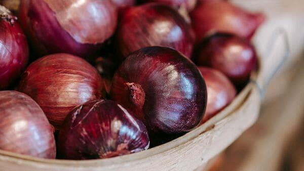 big basket chandigarh