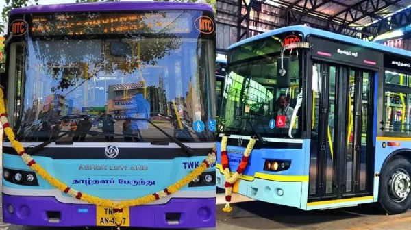 bus