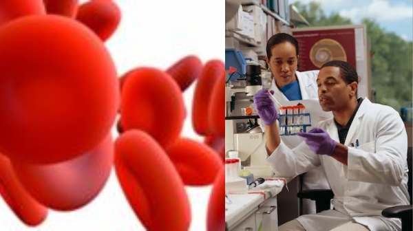 blood group blood transfusion