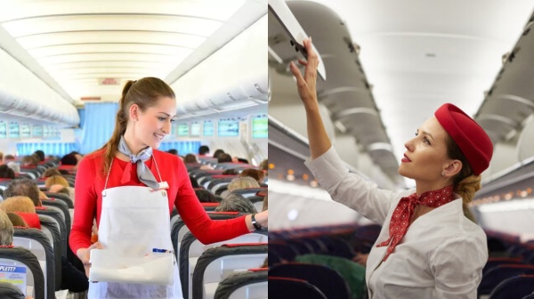 air hostess flight air hostess flight