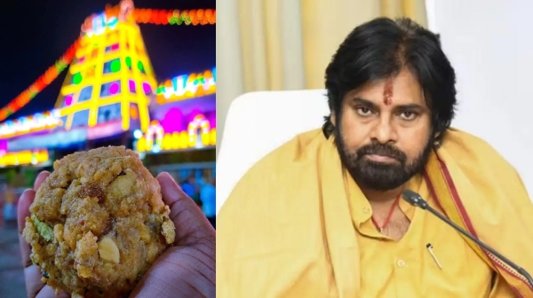 tirupati pawan kalyan laddu tirupati pawan kalyan laddu