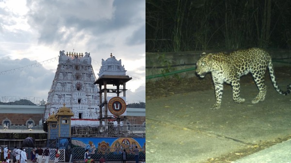 tirupati sprituality tirumala