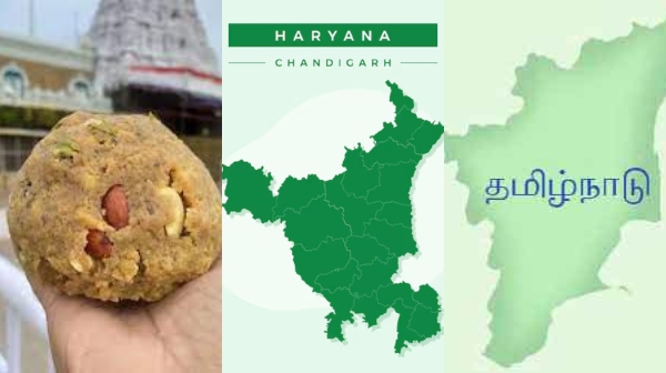 haryana assembly election 2024 tirupati laddu andhra pradesh