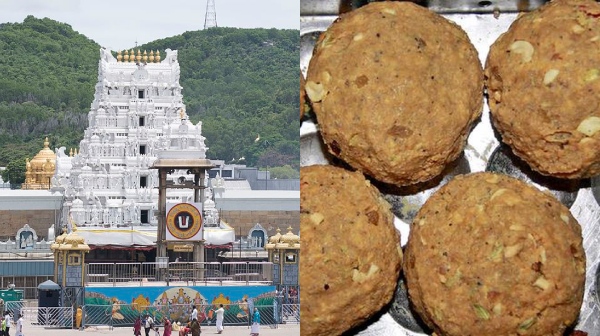 tirupati laddu chandrababu naidu tirupati laddu chandrababu naidu