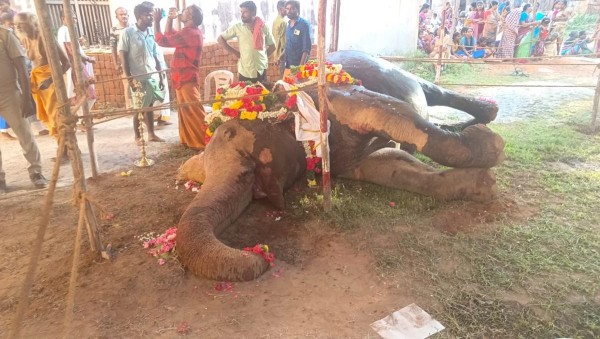 kundrakudi elephant