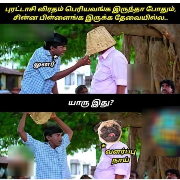 purattasi sunday memes