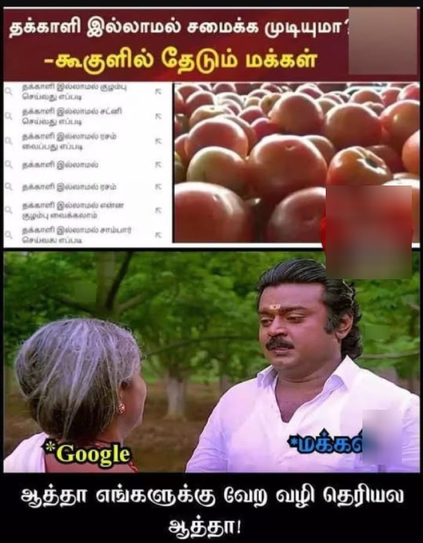 tomato rain summer memes