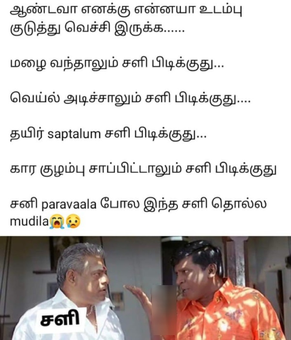 summer sun ooty tea rain