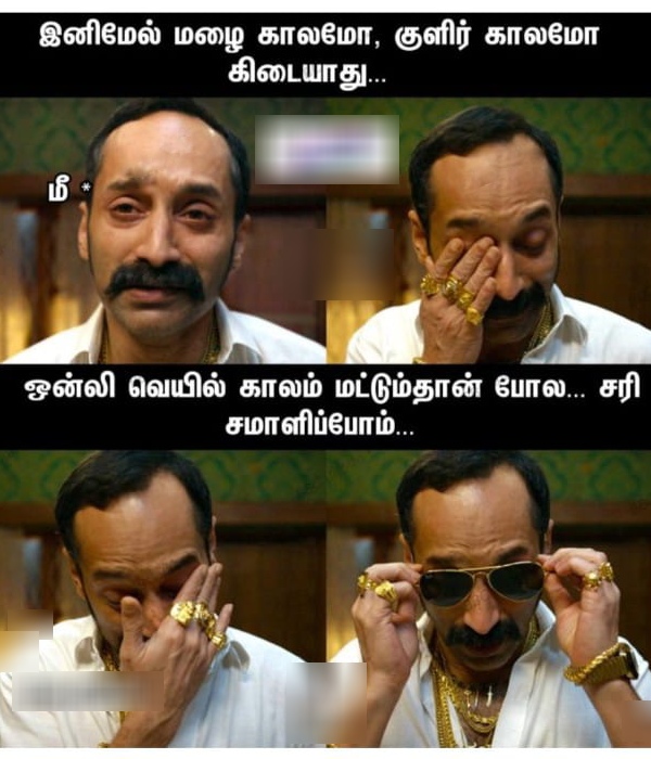 summer sun ooty tea rain