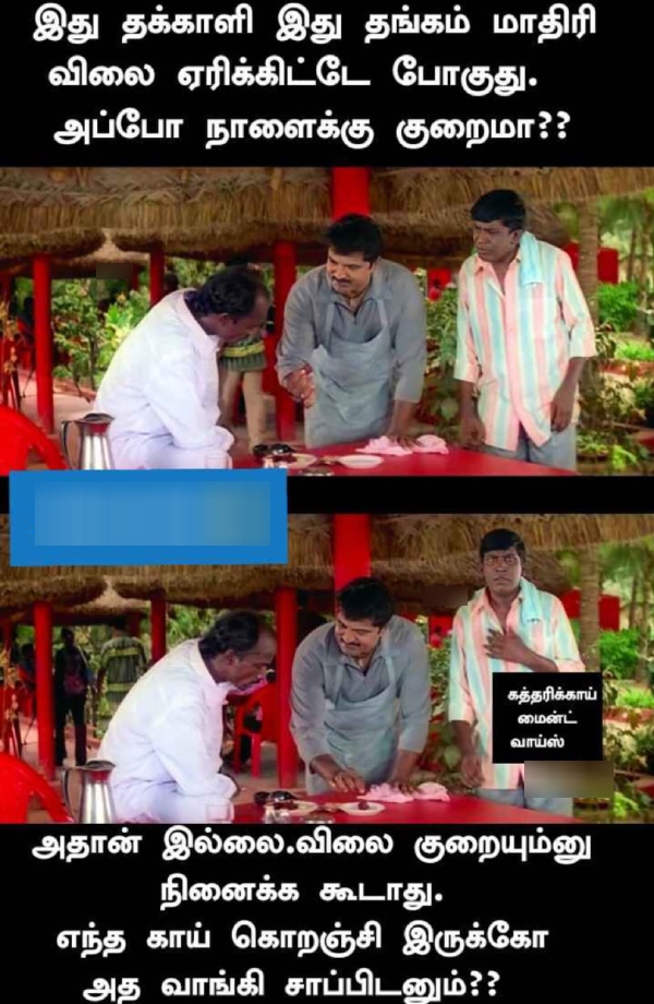 tomato rain summer memes