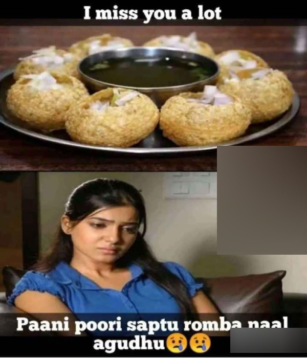 world vegetarian day food memes