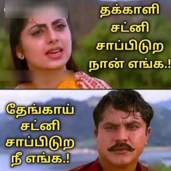 tomato rain summer memes