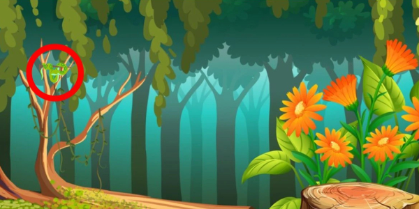 optical illusion offbeat trend