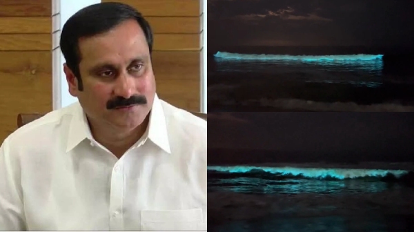 anbumani ramadoss pmk ecr