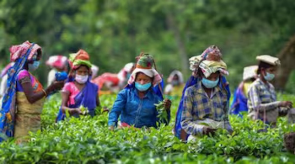 mk stalin tantea diwali