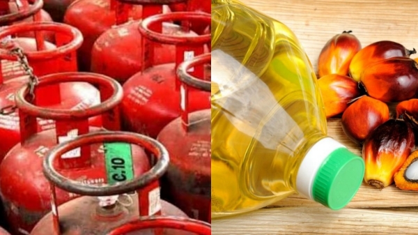 lpg gas cylinder palm oil central government