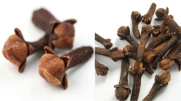 cloves liver cloves liver