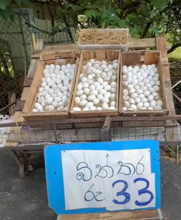 sri lanka anura kumara dissanayake