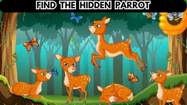 optical illusion offbeat trend