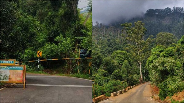 kodaikanal travel kodaikanal travel