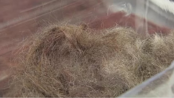 uttarpradesh woman health