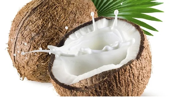 coconut raw coconut diabetics
