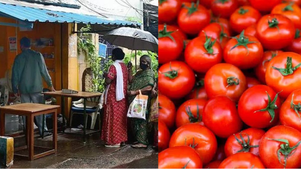 periyakaruppan tamil nadu govt tomato