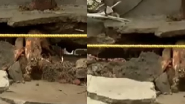 chennai rain north east monsoon