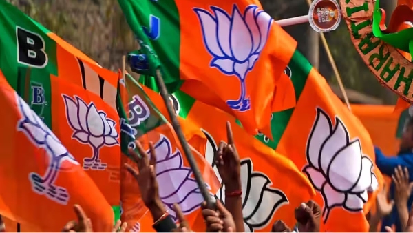 maharashtra assembly election 2024 bjp devendra fadnavis 2024