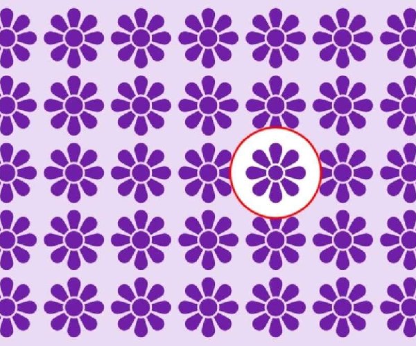 optical illusion offbeat trend