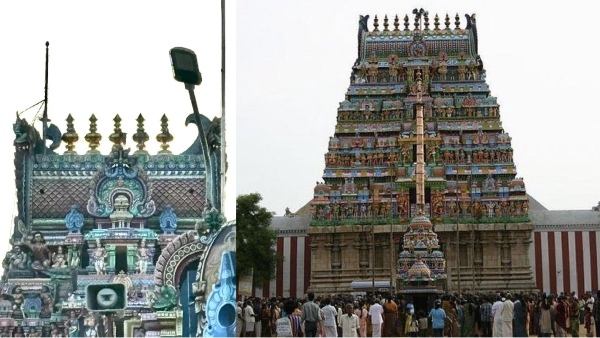 palani murugan temple spirituality