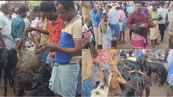 diwali business