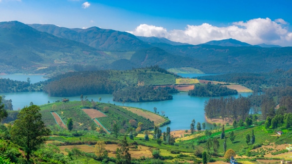 kodaikanal diwali 2024