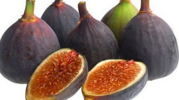 fig honey soaked fig piles patients