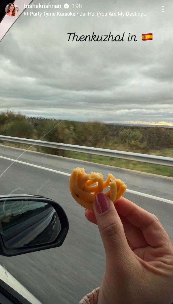 tvk maanadu trisha tamilaga vetri kazhagam actor vijay