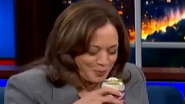 us presidential election 2024 kamala harris usa