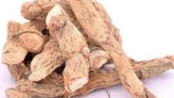 vasambu vasambu powder health