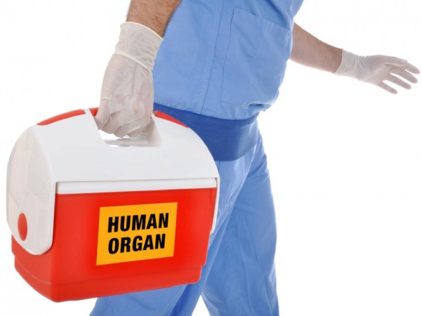 organ donation central government