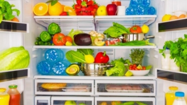 refrigerator fridge health