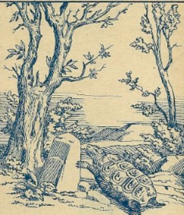 optical illusion offbeat trend