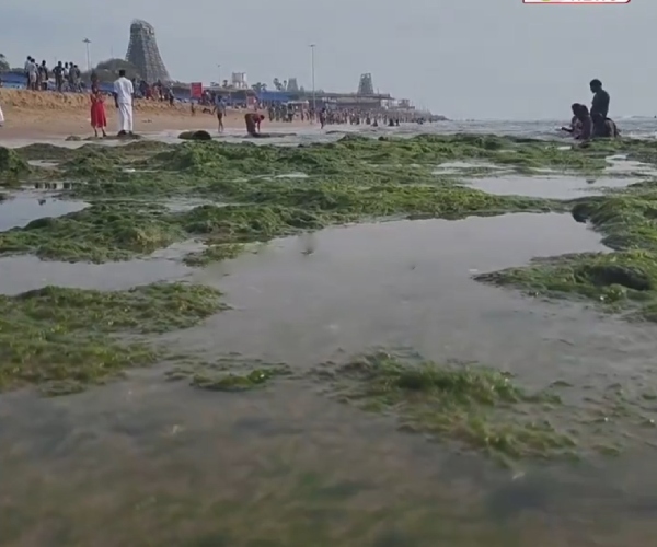 karuppasamy tiruchendur pournami